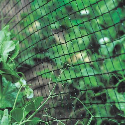 ΔΙΧΤΥ AN.BI. NET