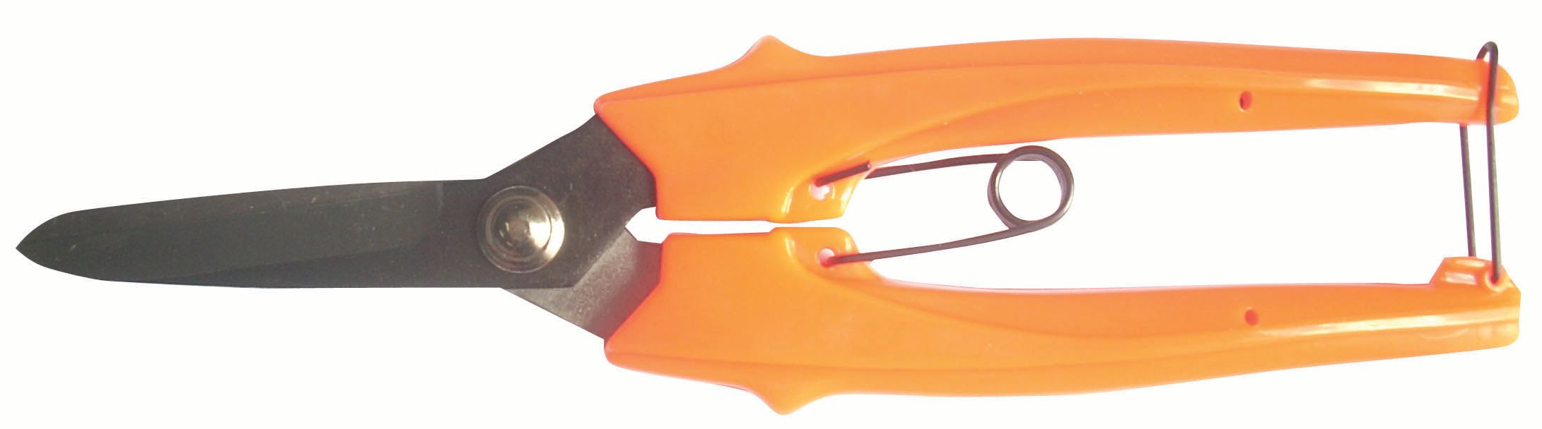 ΨΑΛΙΔΙ ΤΡΥΓΟΥ G