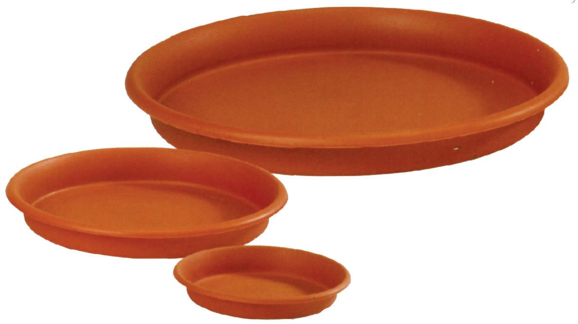 ΠΙΑΤΟ ΤΕΡΑΚΟΤΑ ΝΟ