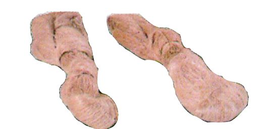 ΛΙΝΑΡΙ